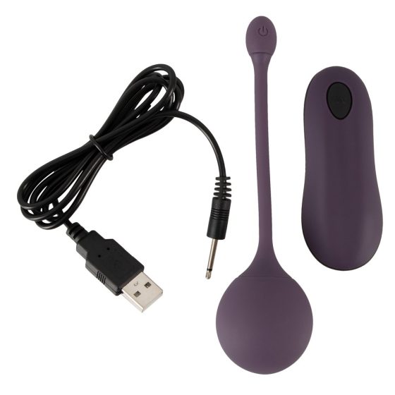 You2Toys RC Single - Battery, Radio, Single Vibrating Egg (purple)
