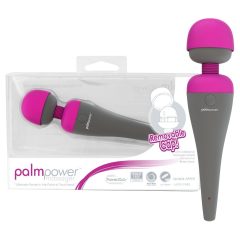 PalmPower massaging vibrator with interchangeable head