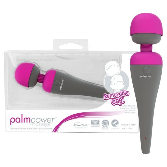 PalmPower massaging vibrator with interchangeable head