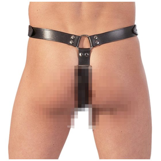 Leather thong with dildo, 3 penis rings