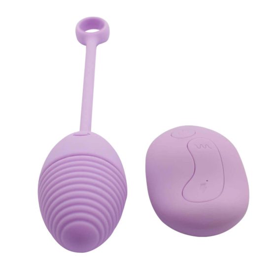 Lonely Relentless Seeker - rechargeable radio vibrating egg (purple)
