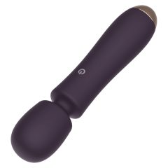   Raytech - Rechargeable, waterproof massager vibrator (purple)