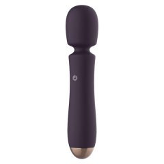   Raytech - Rechargeable, waterproof massager vibrator (purple)