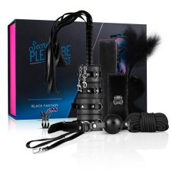   Secret Pleasure Chest - advanced BDSM set - 14 pieces (black)