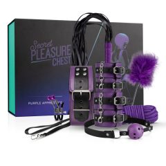 Secret Pleasure Chest - advanced BDSM set (14 pieces)