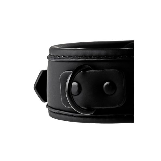 Blaze - collar with leash (black)