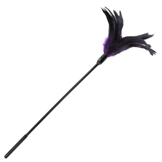 Sportsheets - stylus pen with long handle (violet-black)